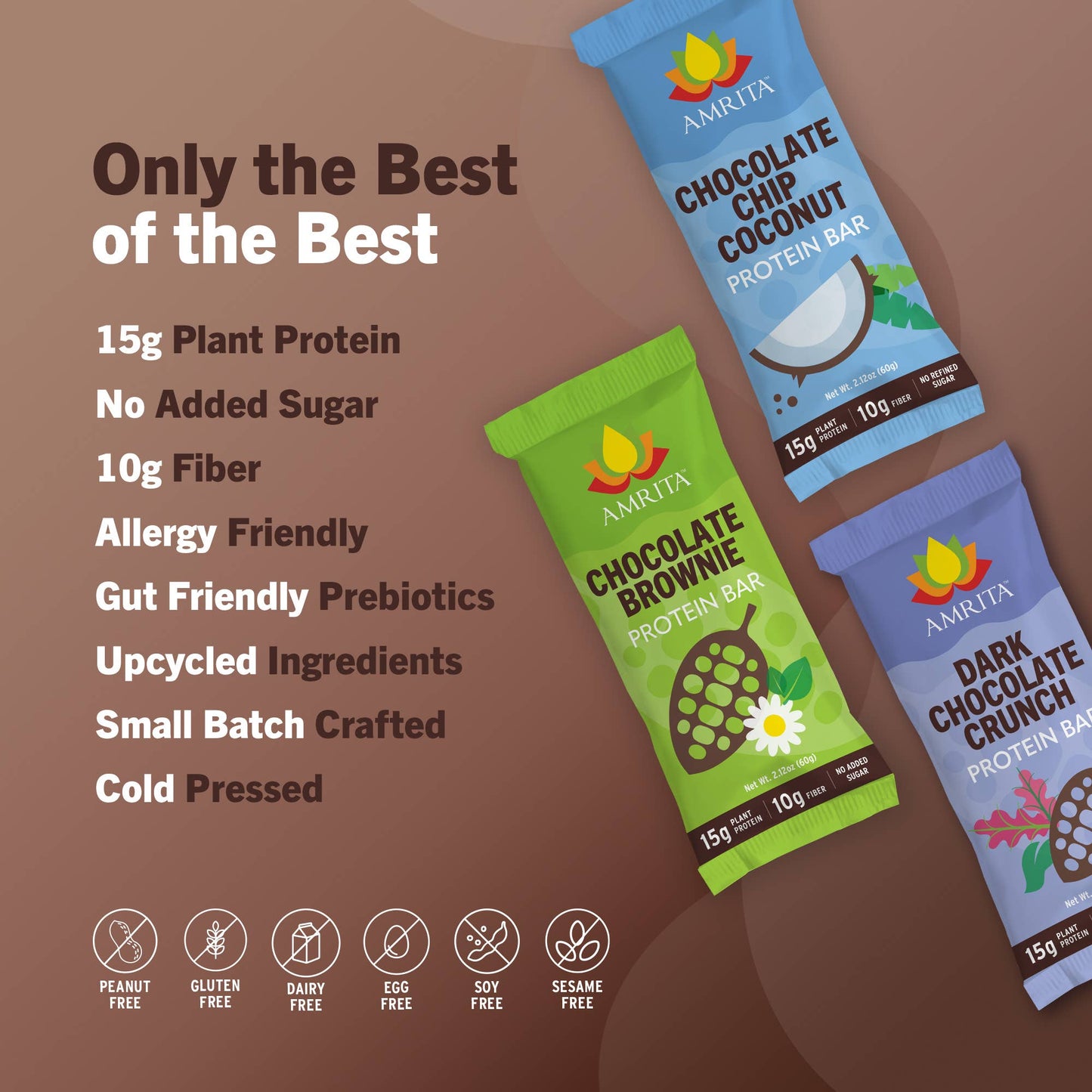 Amrita Health Foods - High Protein Bars - Chocolate Variety Pack, GF, Vegan