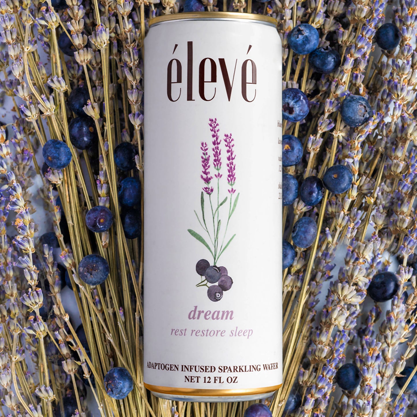 élevé - Dream - rest, restore, sleep