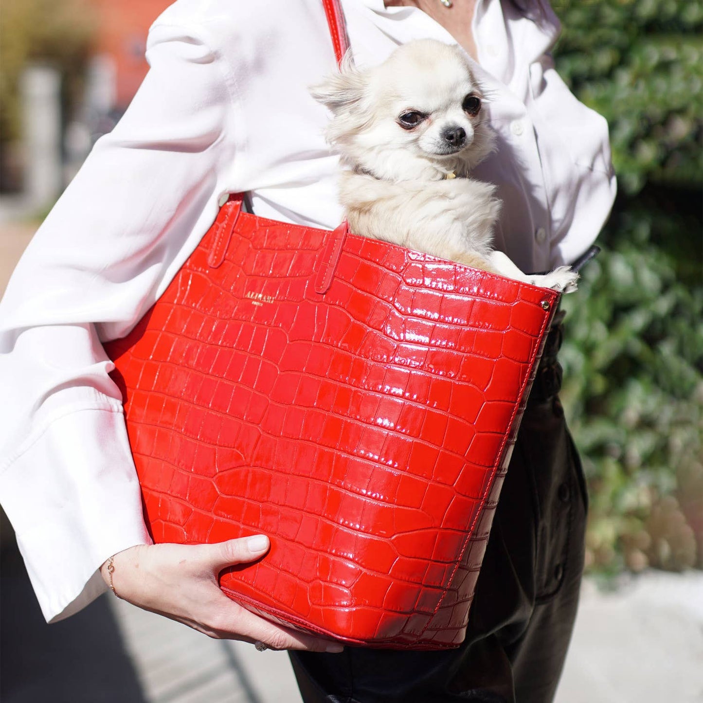 Alinari Firenze - Maxima Tote Bag Red Crocco