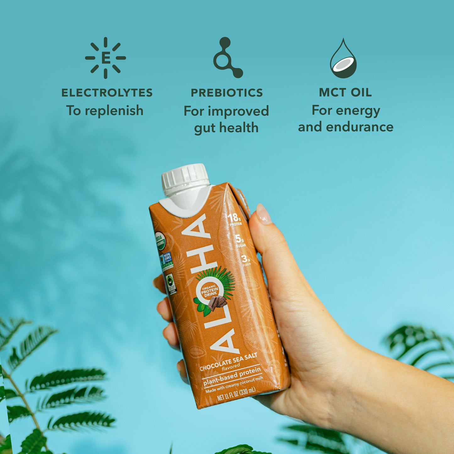 Aloha - 11oz Chocolate Sea Salt Protein Drink (Pack of 12): 12-Bottle Pack