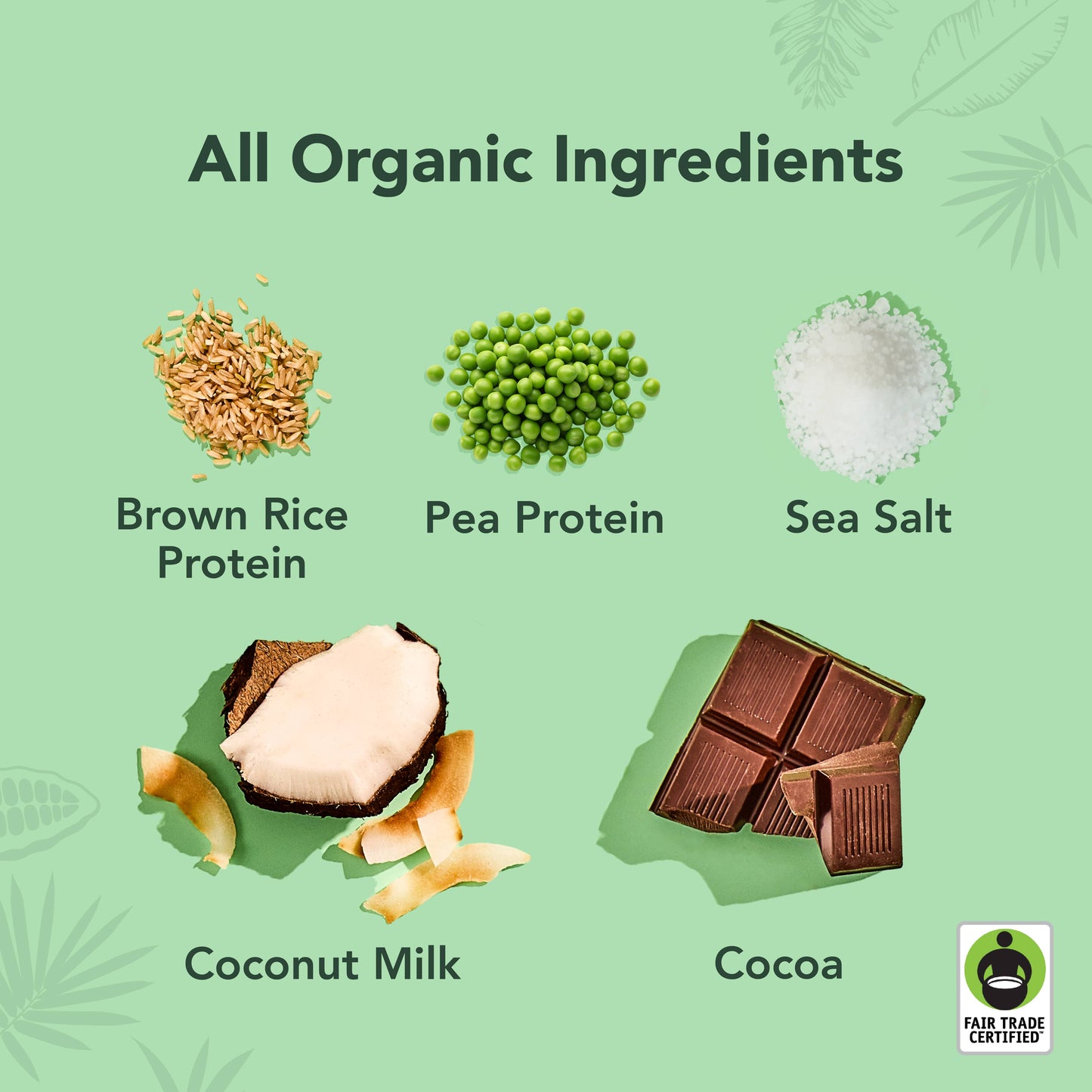 Aloha - 11oz Chocolate Sea Salt Protein Drink (Pack of 12): 12-Bottle Pack