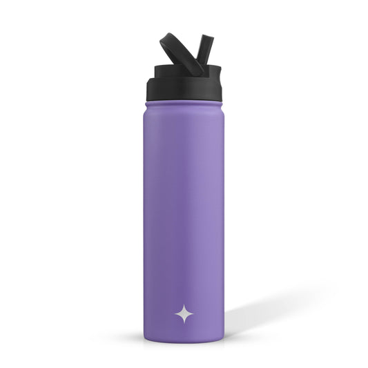 JoyJolt - Colored Stainless Steel Insulated Water Bottle - 22 oz: Purple