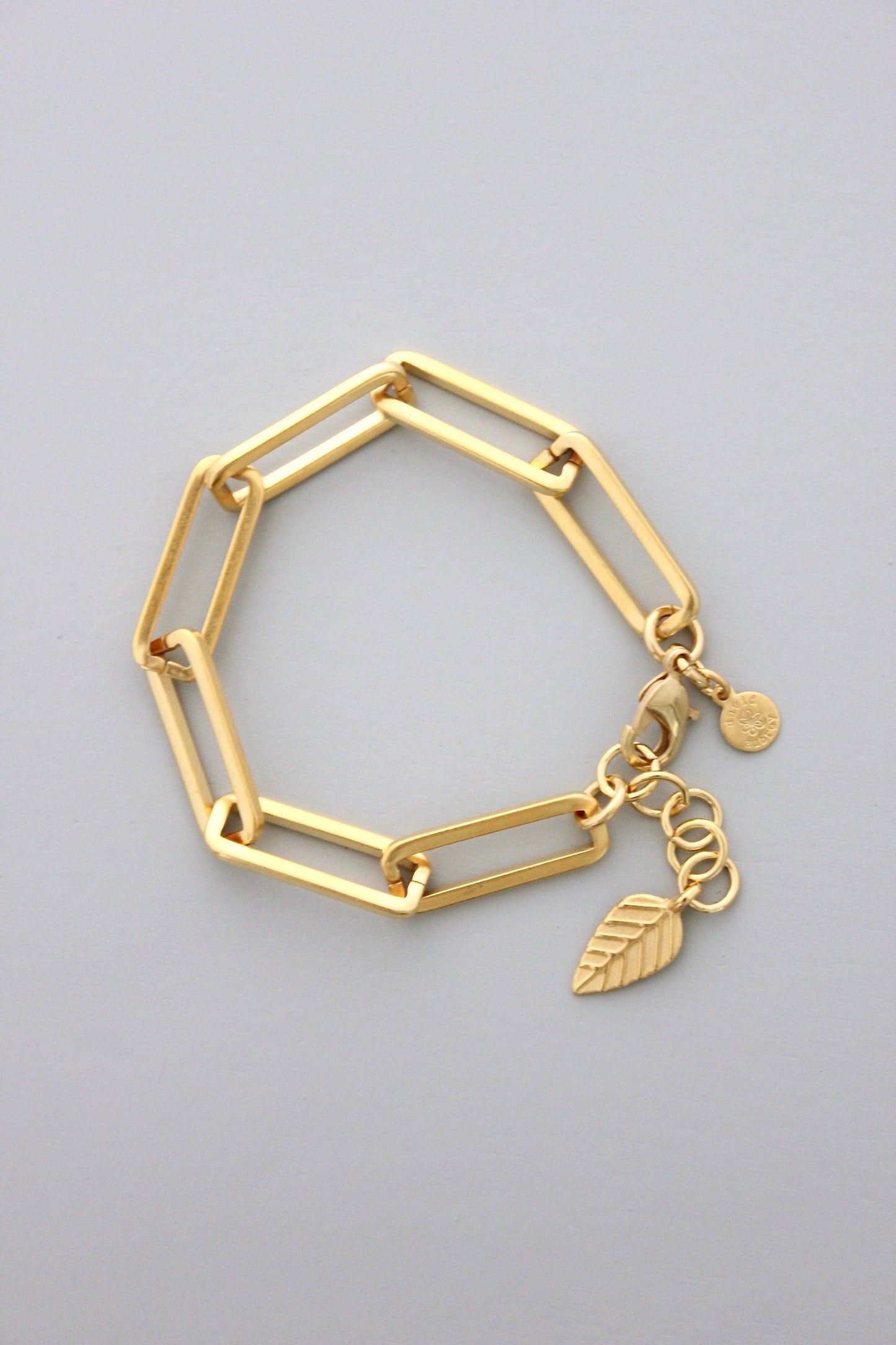 David Aubrey Jewelry - DORB20 18k matte gold paperclip chain bracelet