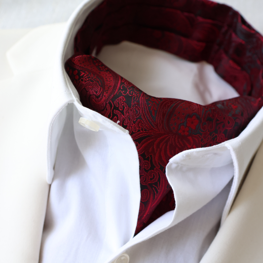 Tie Mood - Burgundy Paisley Ascot Tie